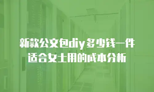 新款公文包diy多少钱一件适合女士用的成本分析