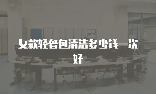 女款轻奢包清洁多少钱一次好