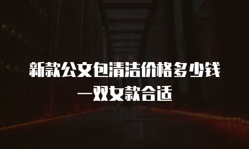 新款公文包清洁价格多少钱一双女款合适