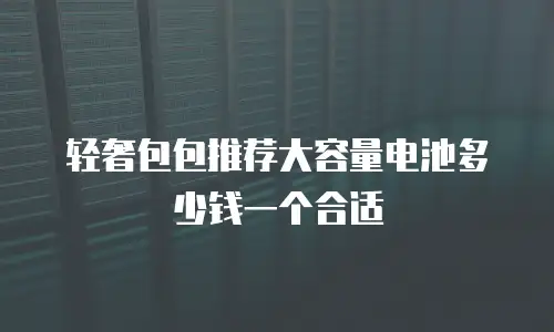 轻奢包包推荐大容量电池多少钱一个合适