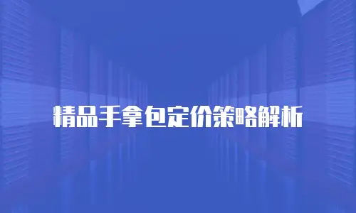 精品手拿包定价策略解析