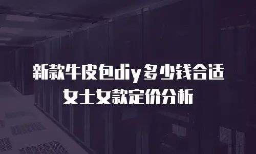 新款牛皮包diy多少钱合适女士女款定价分析