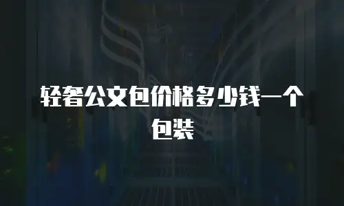 轻奢公文包价格多少钱一个包装