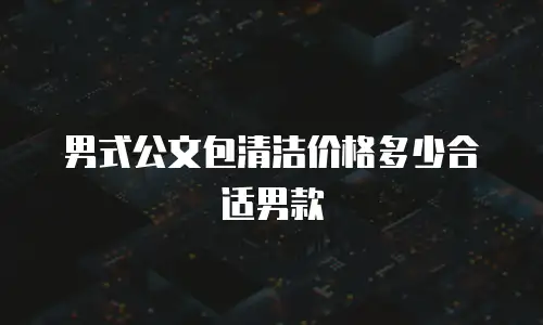 男式公文包清洁价格多少合适男款