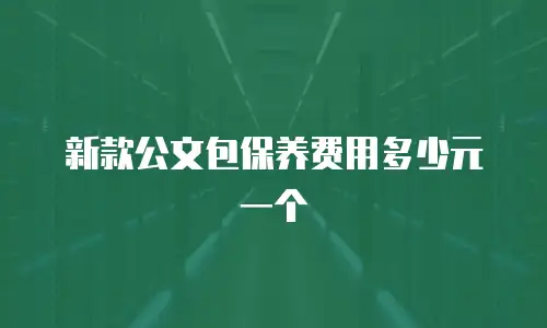 新款公文包保养费用多少元一个