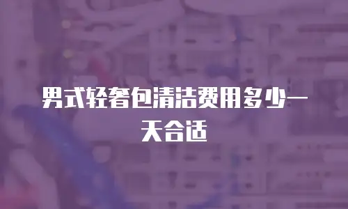 男式轻奢包清洁费用多少一天合适