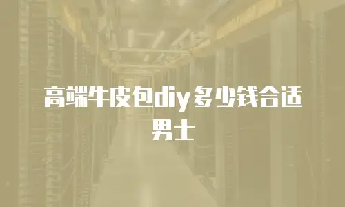 高端牛皮包diy多少钱合适男士