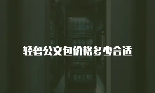 轻奢公文包价格多少合适