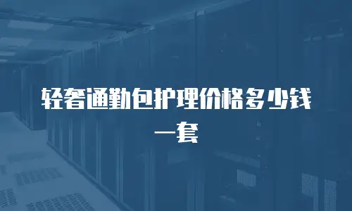 轻奢通勤包护理价格多少钱一套