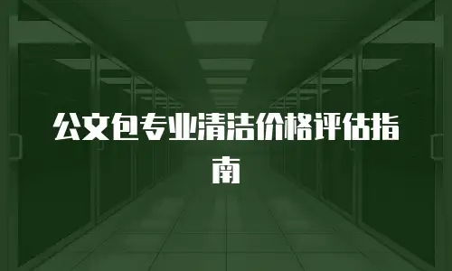 公文包专业清洁价格评估指南