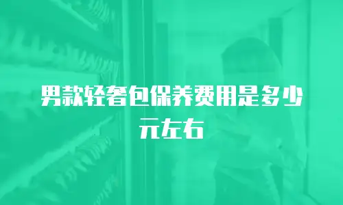 男款轻奢包保养费用是多少元左右