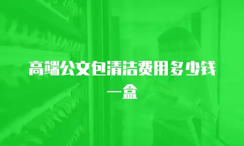 高端公文包清洁费用多少钱一盒