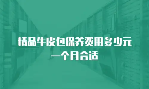 精品牛皮包保养费用多少元一个月合适