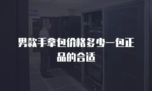 男款手拿包价格多少一包正品的合适