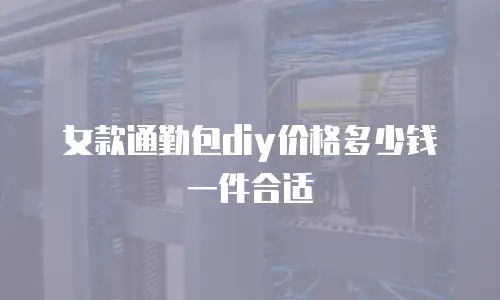 女款通勤包diy价格多少钱一件合适