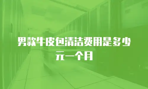 男款牛皮包清洁费用是多少元一个月