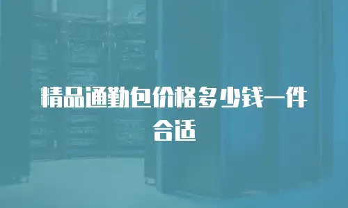 精品通勤包价格多少钱一件合适