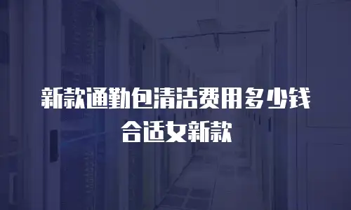 新款通勤包清洁费用多少钱合适女新款
