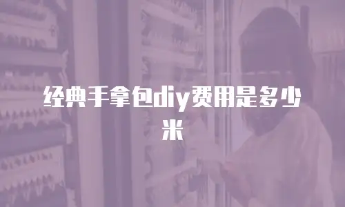 经典手拿包diy费用是多少米