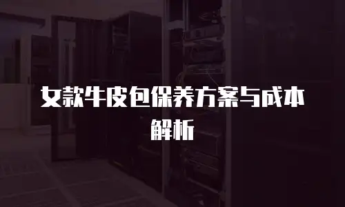 女款牛皮包保养方案与成本解析