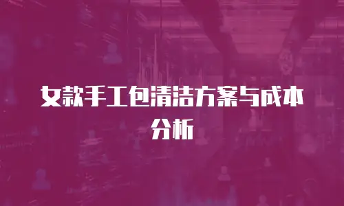 女款手工包清洁方案与成本分析