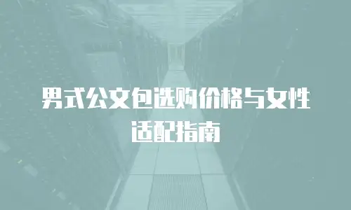 男式公文包选购价格与女性适配指南