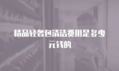 精品轻奢包清洁费用是多少元钱的