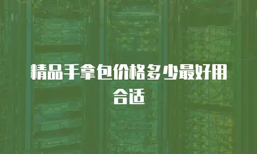 精品手拿包价格多少最好用合适