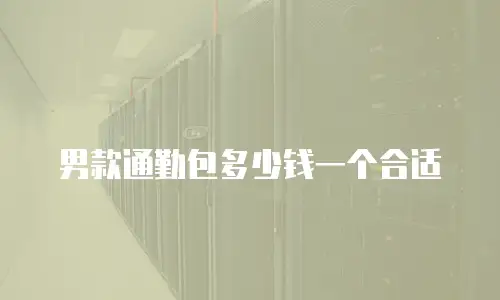 男款通勤包多少钱一个合适