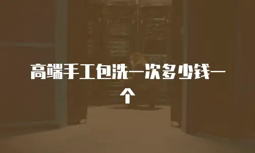 高端手工包洗一次多少钱一个