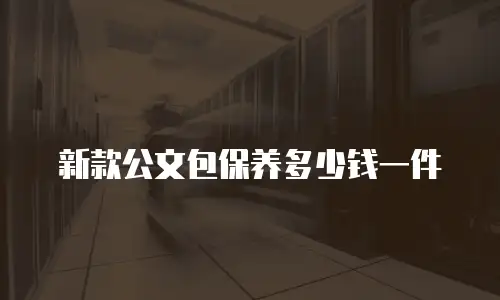 新款公文包保养多少钱一件