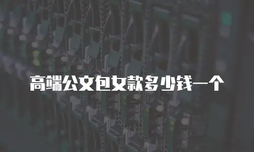 高端公文包女款多少钱一个