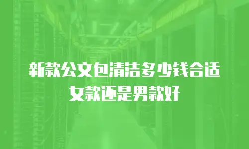 新款公文包清洁多少钱合适女款还是男款好