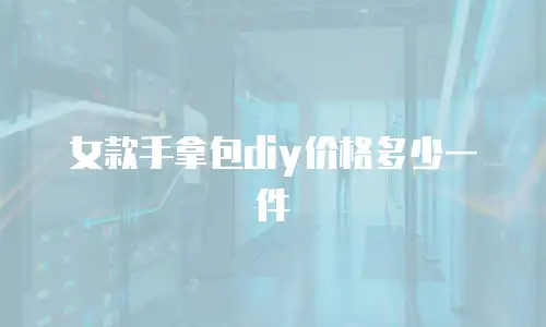 女款手拿包diy价格多少一件