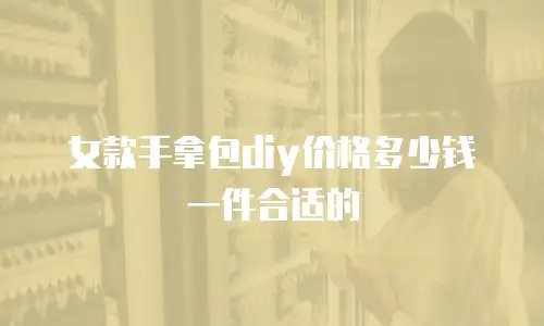 女款手拿包diy价格多少钱一件合适的