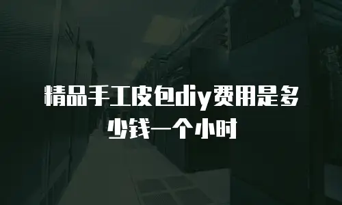 精品手工皮包diy费用是多少钱一个小时