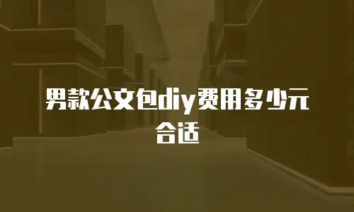 男款公文包diy费用多少元合适