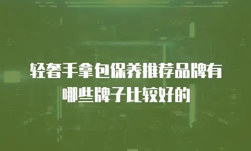 轻奢手拿包保养推荐品牌有哪些牌子比较好的