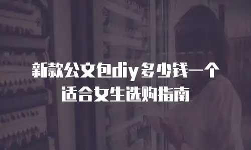 新款公文包diy多少钱一个适合女生选购指南