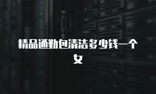 精品通勤包清洁多少钱一个女