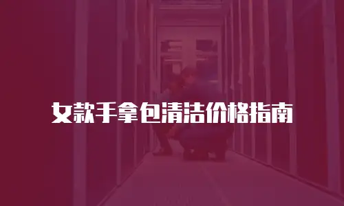女款手拿包清洁价格指南