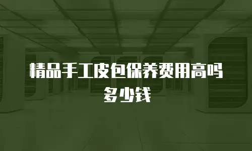 精品手工皮包保养费用高吗多少钱