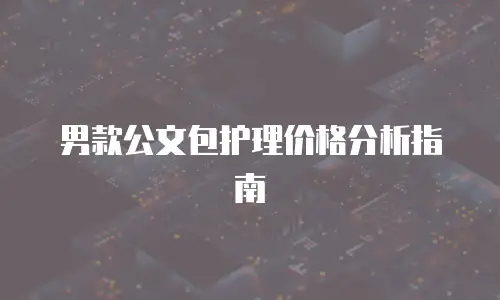 男款公文包护理价格分析指南