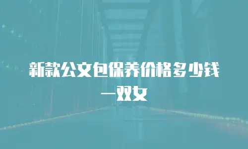 新款公文包保养价格多少钱一双女