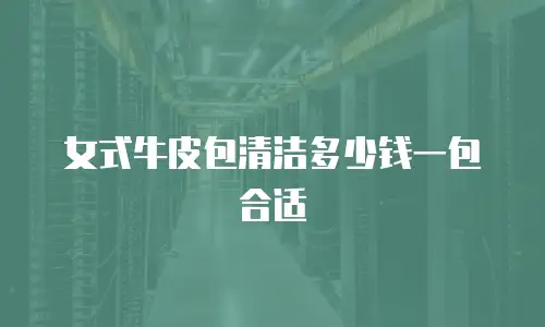 女式牛皮包清洁多少钱一包合适