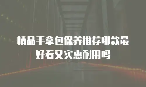 精品手拿包保养推荐哪款最好看又实惠耐用吗