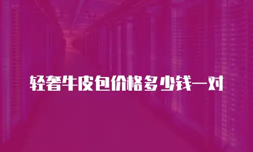 轻奢牛皮包价格多少钱一对