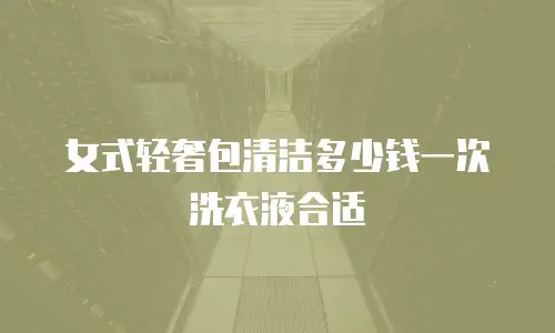 女式轻奢包清洁多少钱一次洗衣液合适