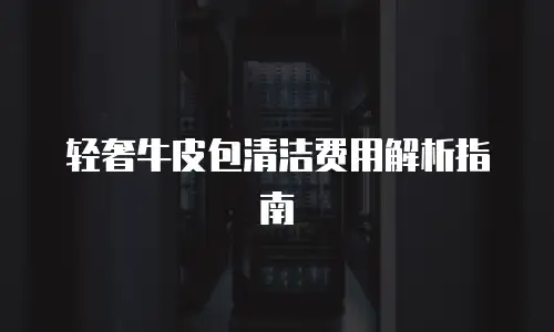轻奢牛皮包清洁费用解析指南