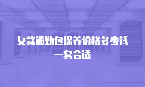 女款通勤包保养价格多少钱一套合适
